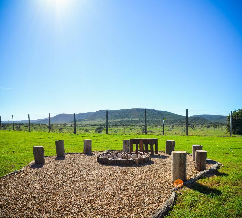 Апартаменты Addo Park Vista Экстерьер фото